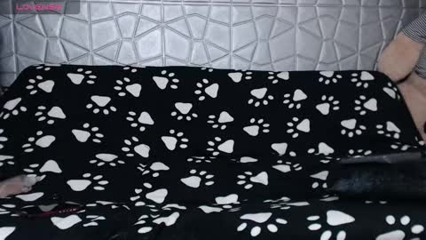 michele_mr online show from January 2026 01:09:02 AM