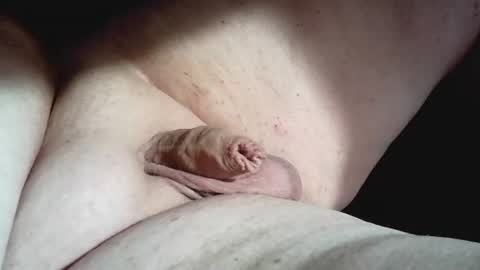 micropimmel online show from July 2026 04:27:02 PM