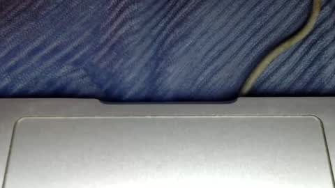 Snapshot of midiin chatting on December 2024 06:00:02 PM midiin online show from December 2024 06:00:02 PM