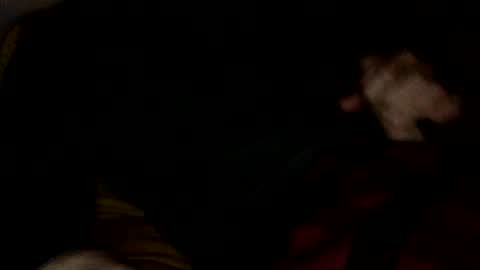 Snapshot of midiin chatting on December 2024 05:39:02 AM midiin online show from December 2024 05:39:02 AM