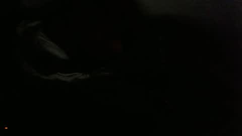 midnightasiko online show from May 2026 12:29:02 AM