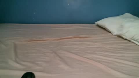 Caddy online show from November 2025 08:36:02 AM