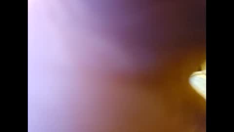 Midwest stroker online show from November 2025 03:31:02 AM