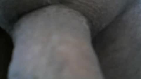 Snapshot of mike26051 chatting on December 2024 06:50:01 PM mike26051 online show from December 2024 06:50:01 PM