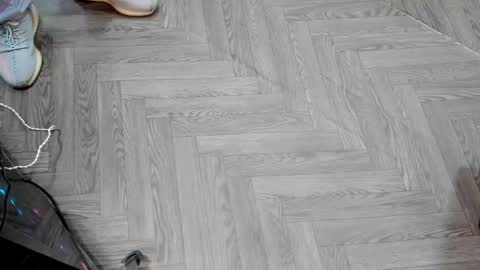 Mike2 wills online show from December 2024 03:44:02 AM