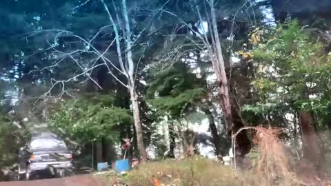 mikeblair5081 online show from December 2025 07:55:01 PM