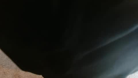 mikehey1 online show from October 2025 03:51:02 PM