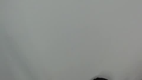 Anay velez online show from January 2026 03:21:01 AM