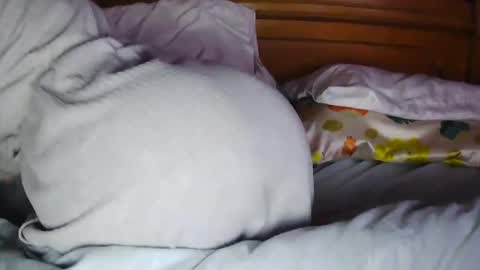 MilfyTitts online show from October 2025 12:39:01 PM