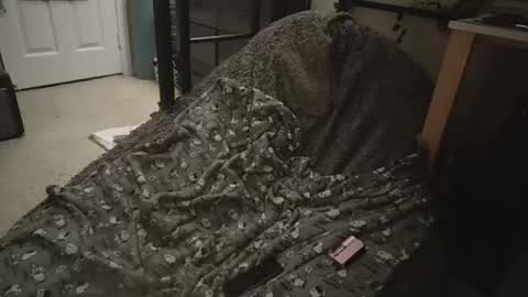 Snapshot of milky479 chatting on March 2026 08:40:02 AM milky479 online show from March 2026 08:40:02 AM