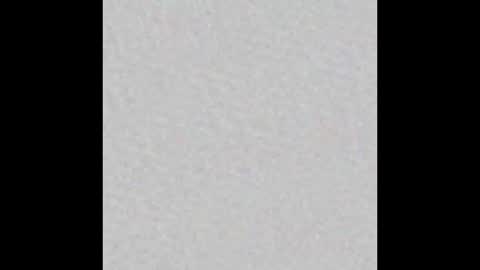 millergardener online show from March 2025 04:42:02 PM