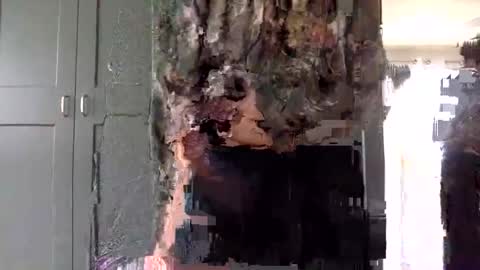 mince_alors online show from November 2025 05:34:01 PM