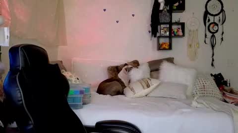 Mindy Mars online show from January 2026 03:38:01 PM