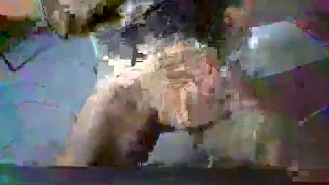 Snapshot of minoas31 chatting on December 2024 08:09:01 AM minoas31 online show from December 2024 08:09:01 AM