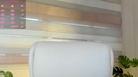 Catalina online show from January 2026 11:46:02 AM