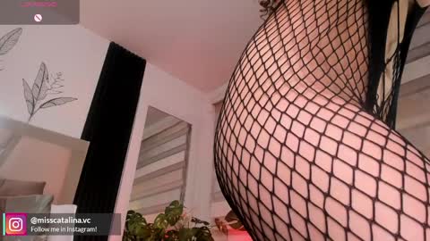 Catalina online show from April 2026 01:41:01 PM