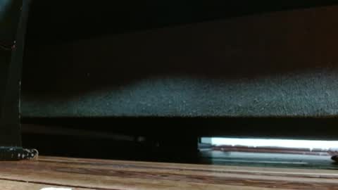 Miss samy online show from February 2025 02:05:01 PM