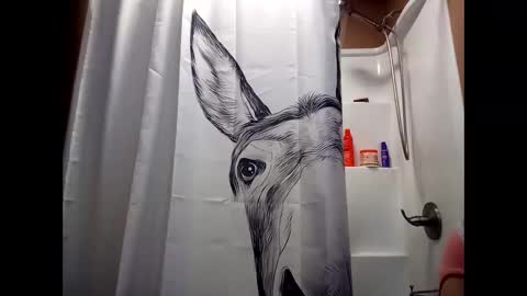 MissEeva online show from December 2024 02:01:01 AM