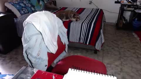 Maria Gomezz online show from February 2026 05:33:01 PM