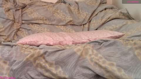 Snapshot of missmagnetizm chatting on February 2026 11:06:02 AM Vi online show from February 2026 11:06:02 AM