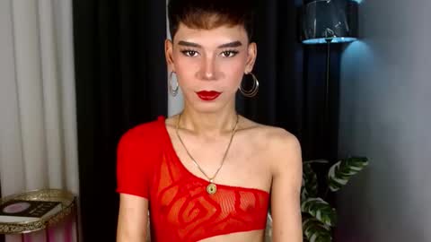 Stella online show from September 2025 08:27:02 AM