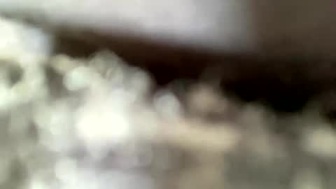 mistajay90 online show from September 2025 04:06:02 PM