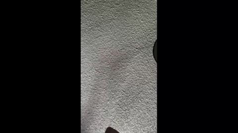 Snapshot of mister_nasty chatting on October 2025 09:56:01 PM mister_nasty online show from October 2025 09:56:01 PM