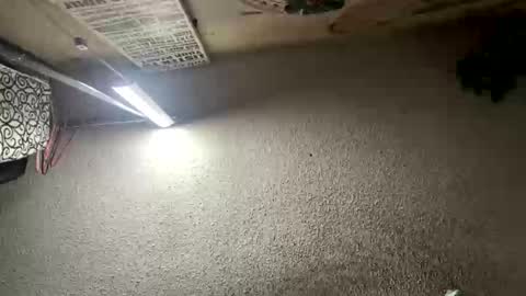 mister_nasty online show from January 2026 06:57:02 PM