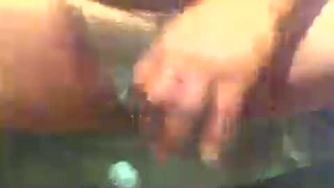 Snapshot of misterbator99 chatting on July 2026 10:02:01 AM misterbator99 online show from July 2026 10:02:01 AM