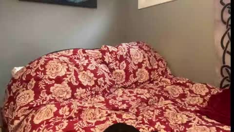 Snapshot of mntuila chatting on September 2025 12:59:02 PM MNTuiLa online show from September 2025 12:59:02 PM