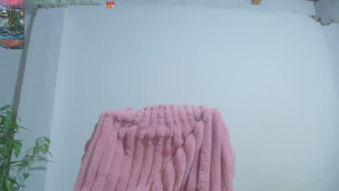 Catalina online show from December 2024 02:36:01 AM