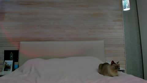 Molly Hunt online show from March 2026 04:58:01 AM