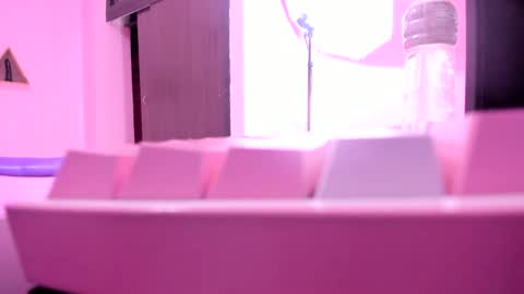 carolina online show from March 2025 11:47:02 AM