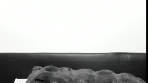 Snapshot of monicacure chatting on October 2025 03:16:01 PM monicacure online show from October 2025 03:16:01 PM