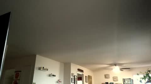 Monkee Dance online show from February 2025 05:12:01 PM