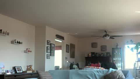 Monkee Dance online show from March 2025 10:10:01 PM