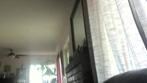 Monkee Dance online show from March 2025 05:28:01 PM