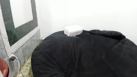 Snapshot of monkeyd_66 chatting on January 2025 01:29:01 AM monkeyd_66 online show from January 2025 01:29:01 AM