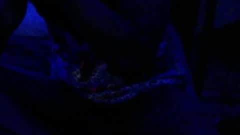 montydxxx2 online show from December 2025 04:35:02 PM