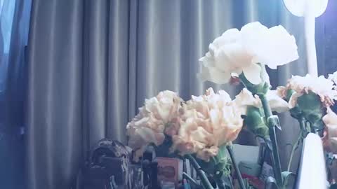 moodiemira online show from March 2026 02:56:02 PM