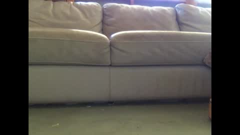 Snapshot of mookaite05 chatting on March 2025 02:26:02 AM mookaite05 online show from March 2025 02:26:02 AM