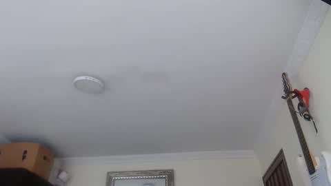 Snapshot of morbidangel08 chatting on January 2026 03:28:02 PM Abelardo online show from January 2026 03:28:02 PM