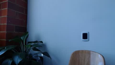 Snapshot of morbidangel08 chatting on March 2026 06:13:02 PM Abelardo online show from March 2026 06:13:02 PM