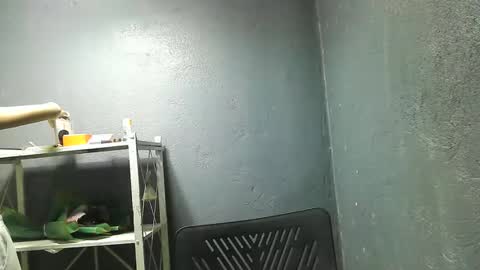 morenang_pinay online show from November 2025 07:41:02 AM