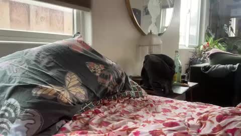 moreplease413 online show from December 2024 08:18:01 PM