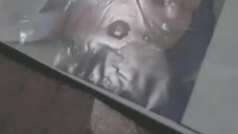 mowfbreever online show from October 2025 05:57:02 PM