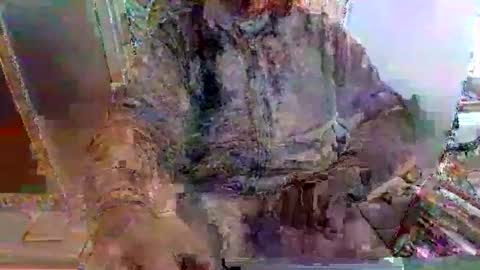 mppempis81 online show from November 2025 07:30:01 AM