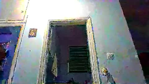 mppempis81 online show from January 2026 10:15:01 PM