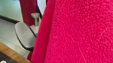 mr_atwood online show from April 2026 04:32:01 PM