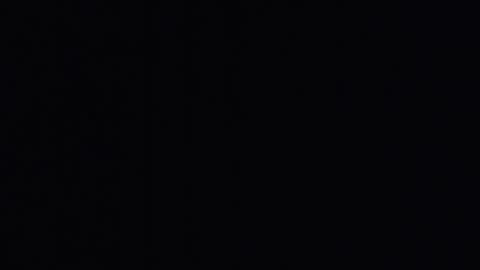 mr_fox69 online show from April 2026 09:33:02 AM